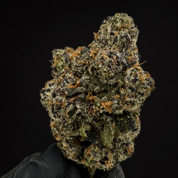 BLUE GOTTI view 2