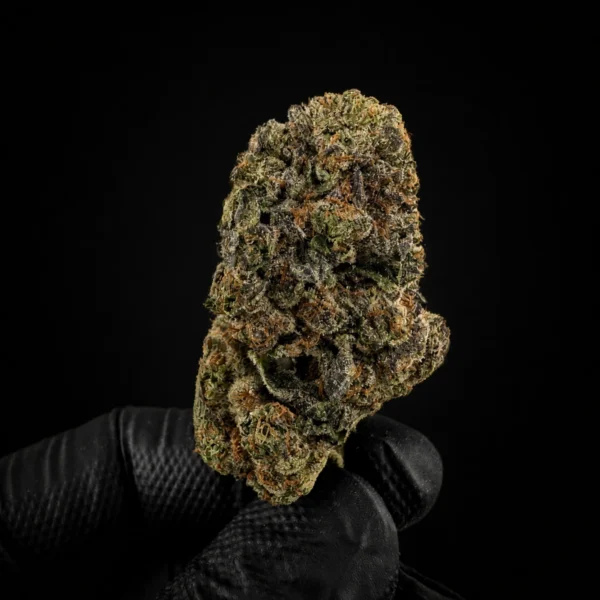CARTEL view 2