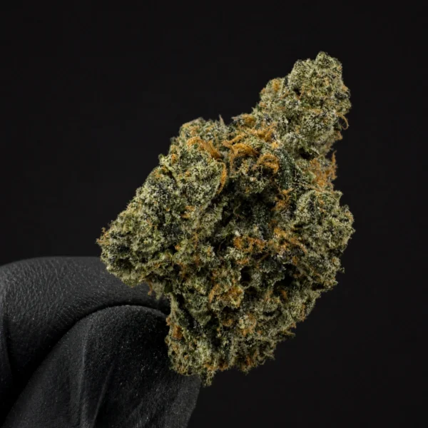 TOM FORD BISCOTTI OG view 2