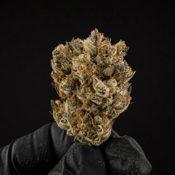 Z-PIE view 2
