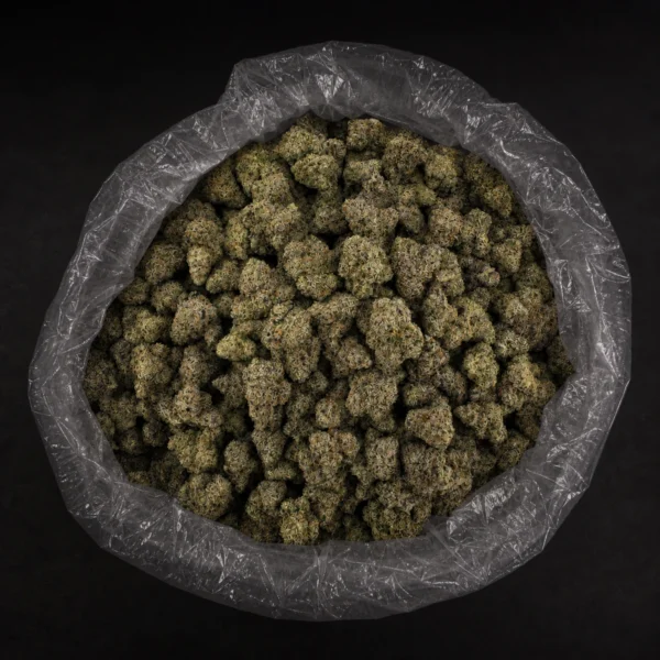 BLUE GOTTI view 3