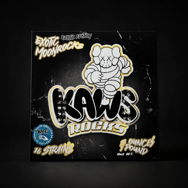 Kaws Rocks view 3