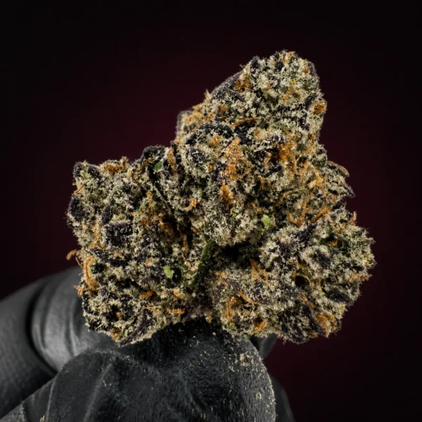 BLACK CHERRY GELATO view 2