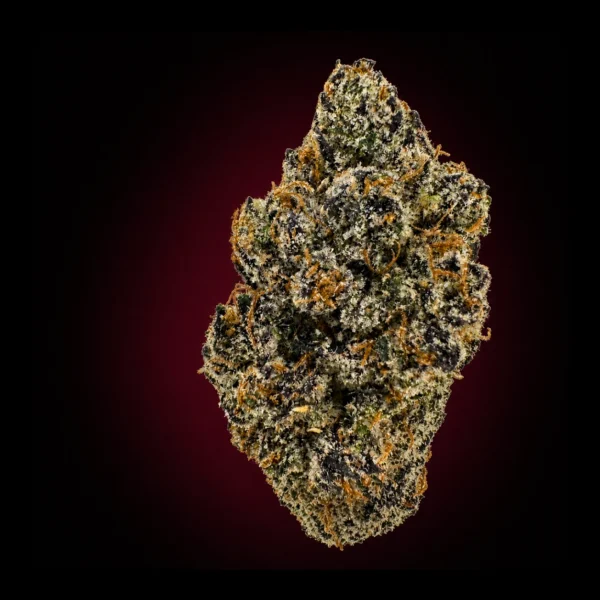 BLACK CHERRY GELATO