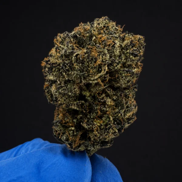 LEMON CHERRY GELATO view 2
