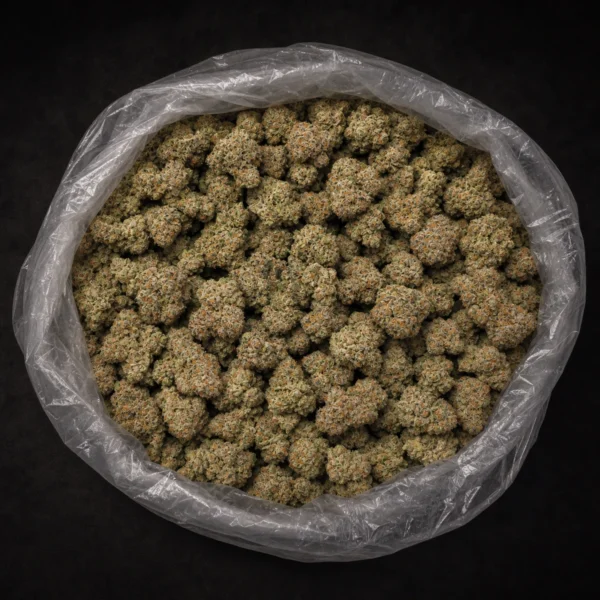 POP ROCKS view 2