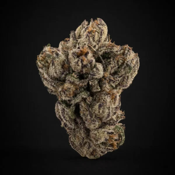 PURPLE REIGN RUNTZ view 2