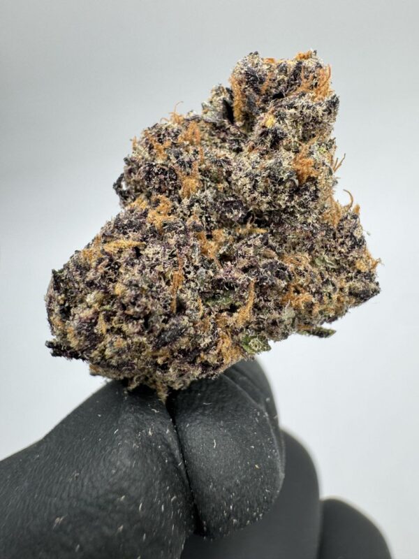 ETHER BERRIEZ view 2