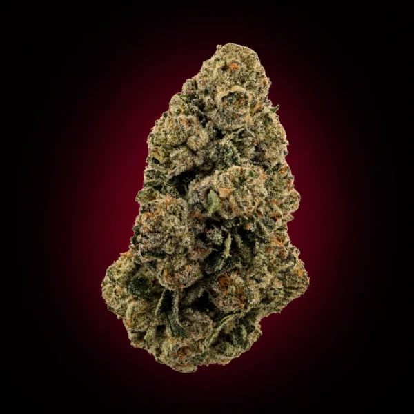 BDX x CREAM SODA
