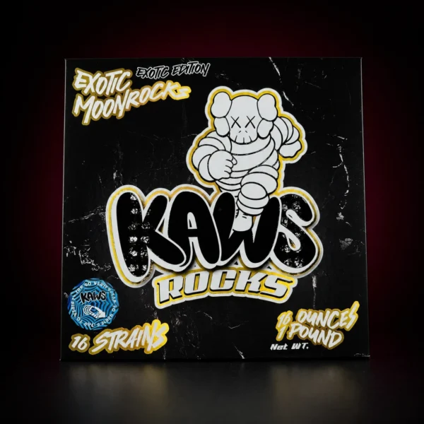 Kaws Rocks
