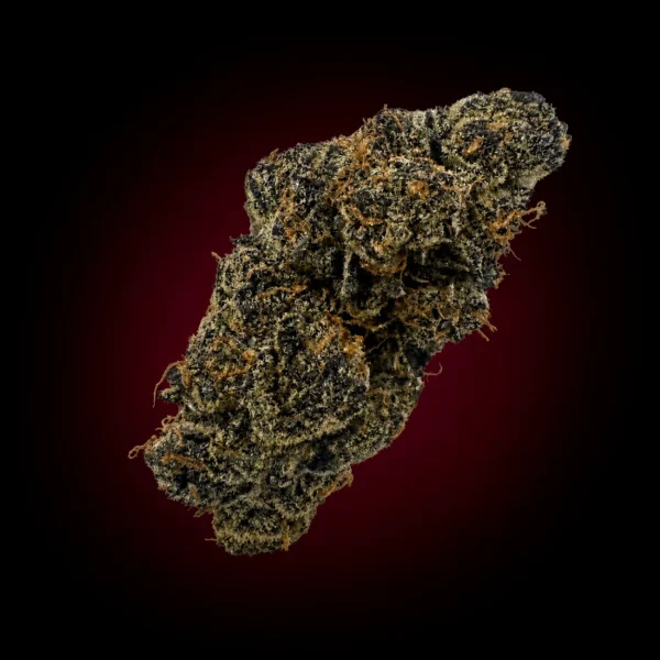 LEMON CHERRY GELATO