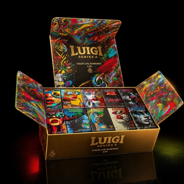 2G Luigi view 3