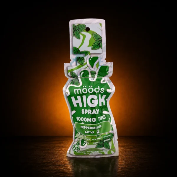 Moods High view 4